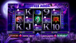 https://ufa36-bet.com/play8/panther-moon/
