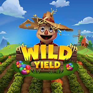 Wild Yield relax gaming ufabet36 vip